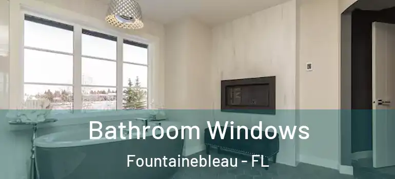  Bathroom Windows Fountainebleau - FL