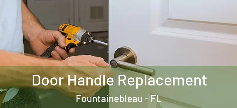 Door Handle Replacement Fountainebleau - FL