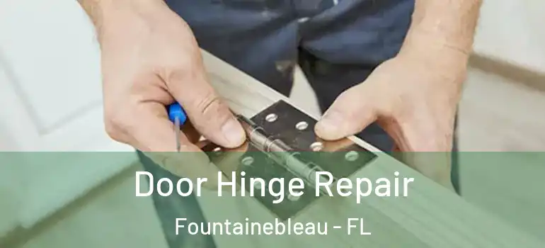  Door Hinge Repair Fountainebleau - FL