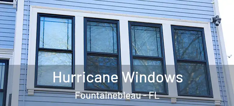  Hurricane Windows Fountainebleau - FL