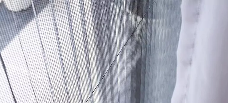 Fixing Screen Window Mesh in Fountainebleau, FL