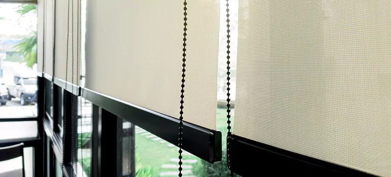 Blackout Window Shades in Fountainebleau, FL
