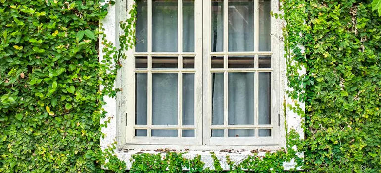 Garden Window Repair Near Me in Fountainebleau, FL