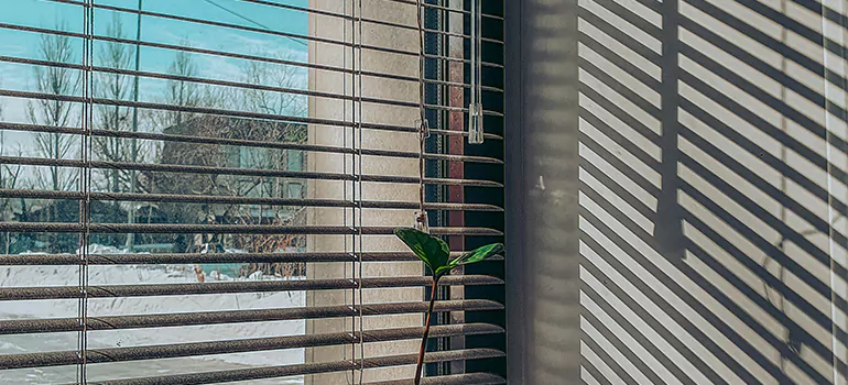 Commercial Window Blinds in Fountainebleau, FL