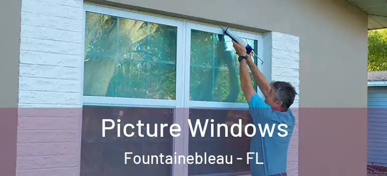  Picture Windows Fountainebleau - FL