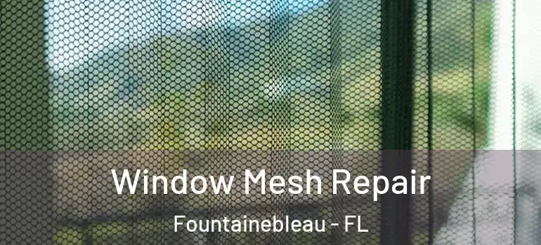  Window Mesh Repair Fountainebleau - FL