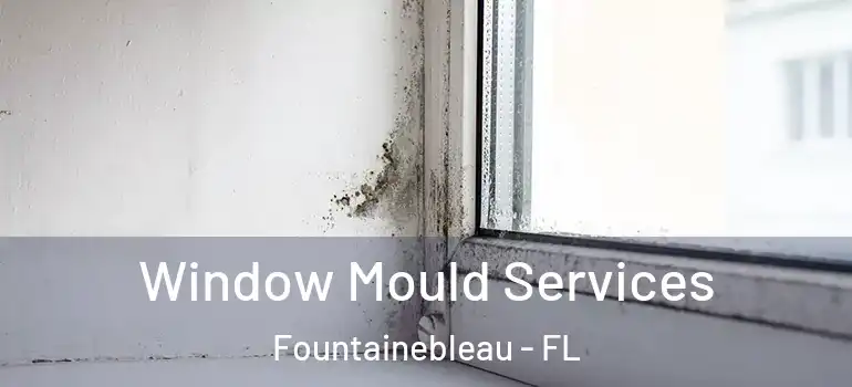  Window Mould Services Fountainebleau - FL