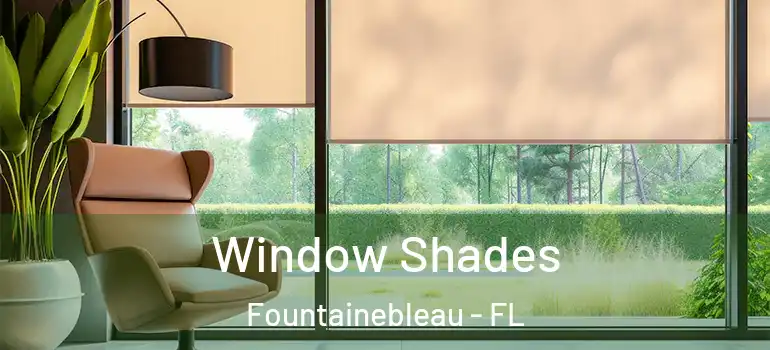 Window Shades Fountainebleau - FL